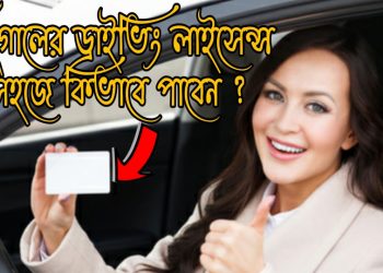 পর্তুগীজ ড্রাইভিং লাইসেন্স