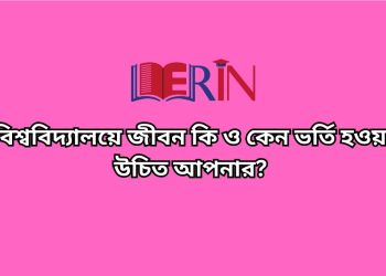 বিশ্ববিদ্যালয় জীবন কি