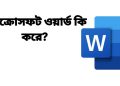 মাইক্রোসফট ওয়ার্ড