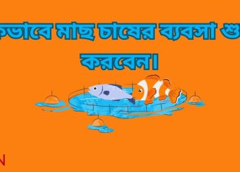 মাছ চাষের ব্যবসা