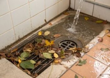 Water Clogging Paragraph