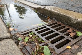 Water Clogging Paragraph: Causes, Effects, and Prevention