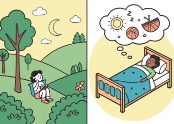 Dream Paragraph for HSC