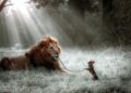 the lion and the mouse completing story