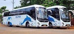 dolphin bus counter number