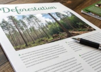 deforestation paragraph